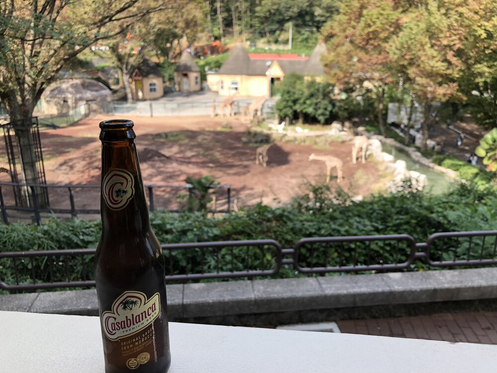 giraffe-beer